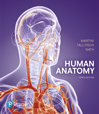 Cover of Human Anatomy, a textbook authored by Robert Tallitsch